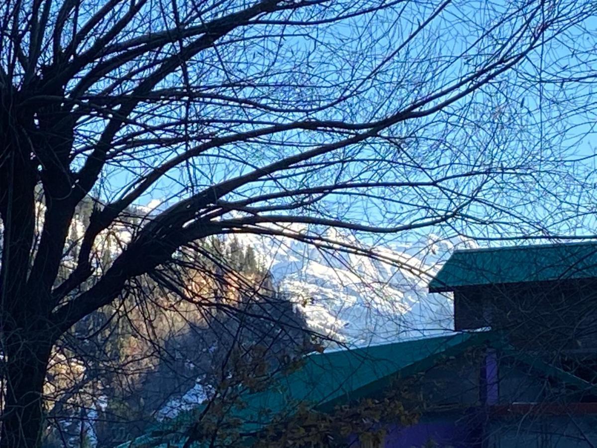 Solang Valley Resort Manāli Exteriör bild