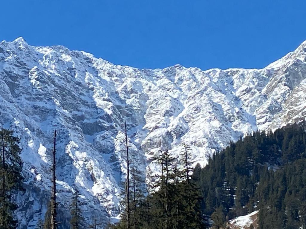 Solang Valley Resort Manāli Exteriör bild